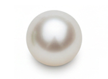 Pearl (Cream)